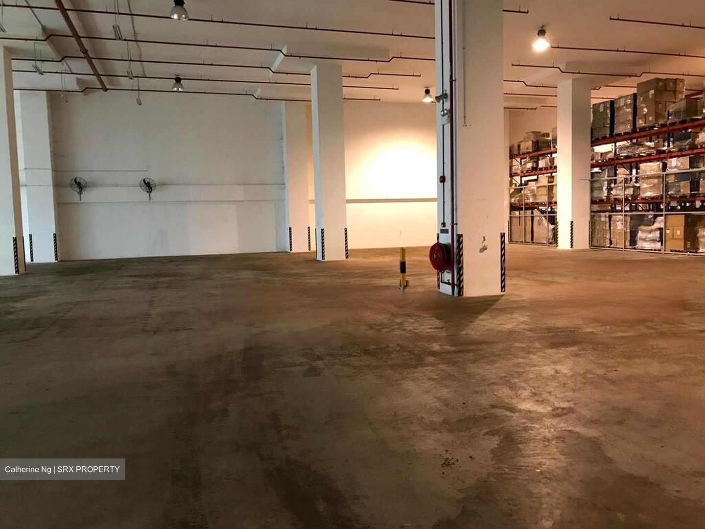 In Space (D19), Warehouse #497407681